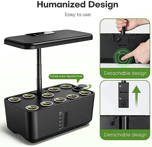 Indoor hydroponics growing system, ideal for herbs, vegetables, and lettuce