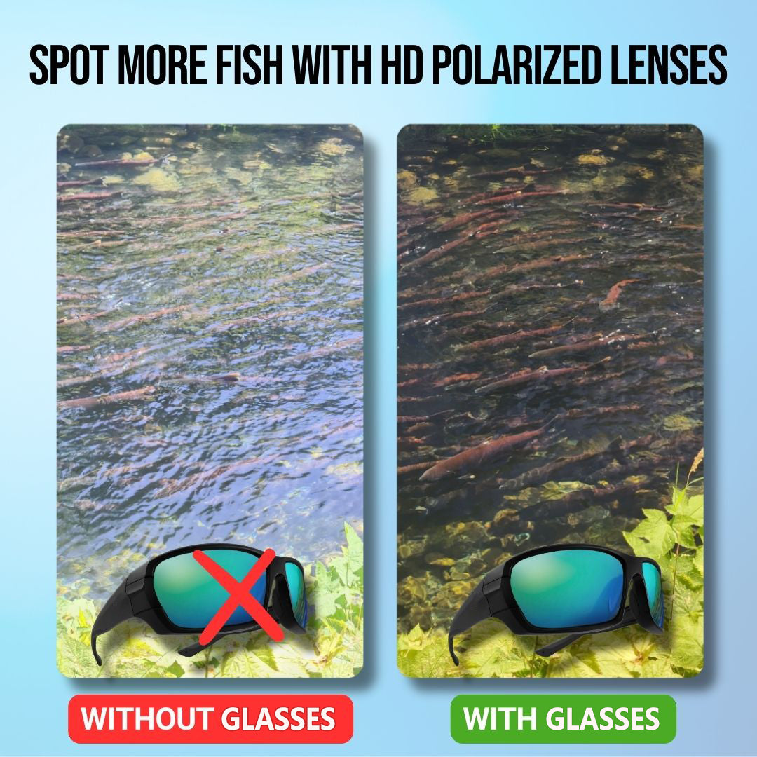 Fishing Pro Sunglasses Kit