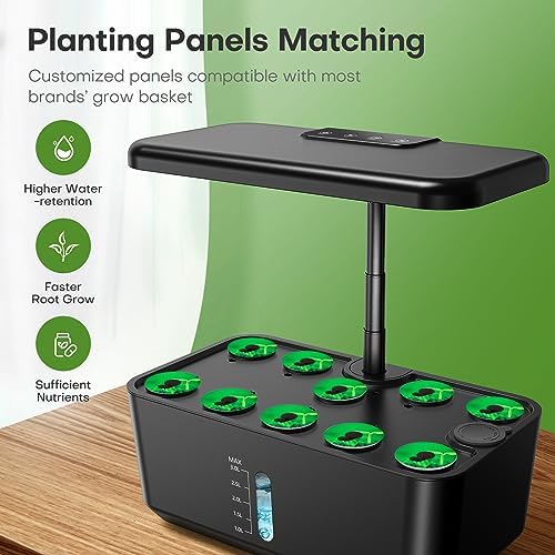 Indoor hydroponics growing system, ideal for herbs, vegetables, and lettuce