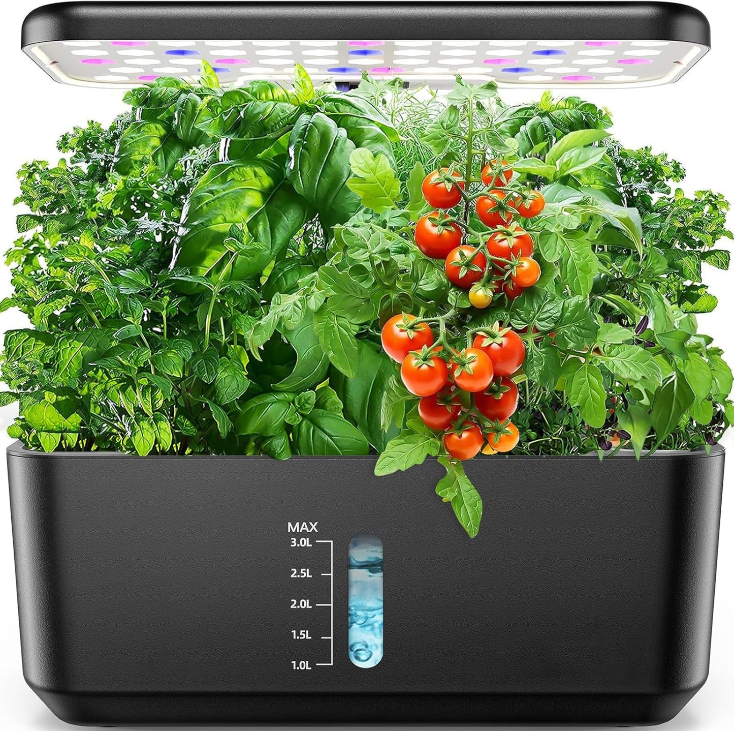 Indoor hydroponics growing system, ideal for herbs, vegetables, and lettuce