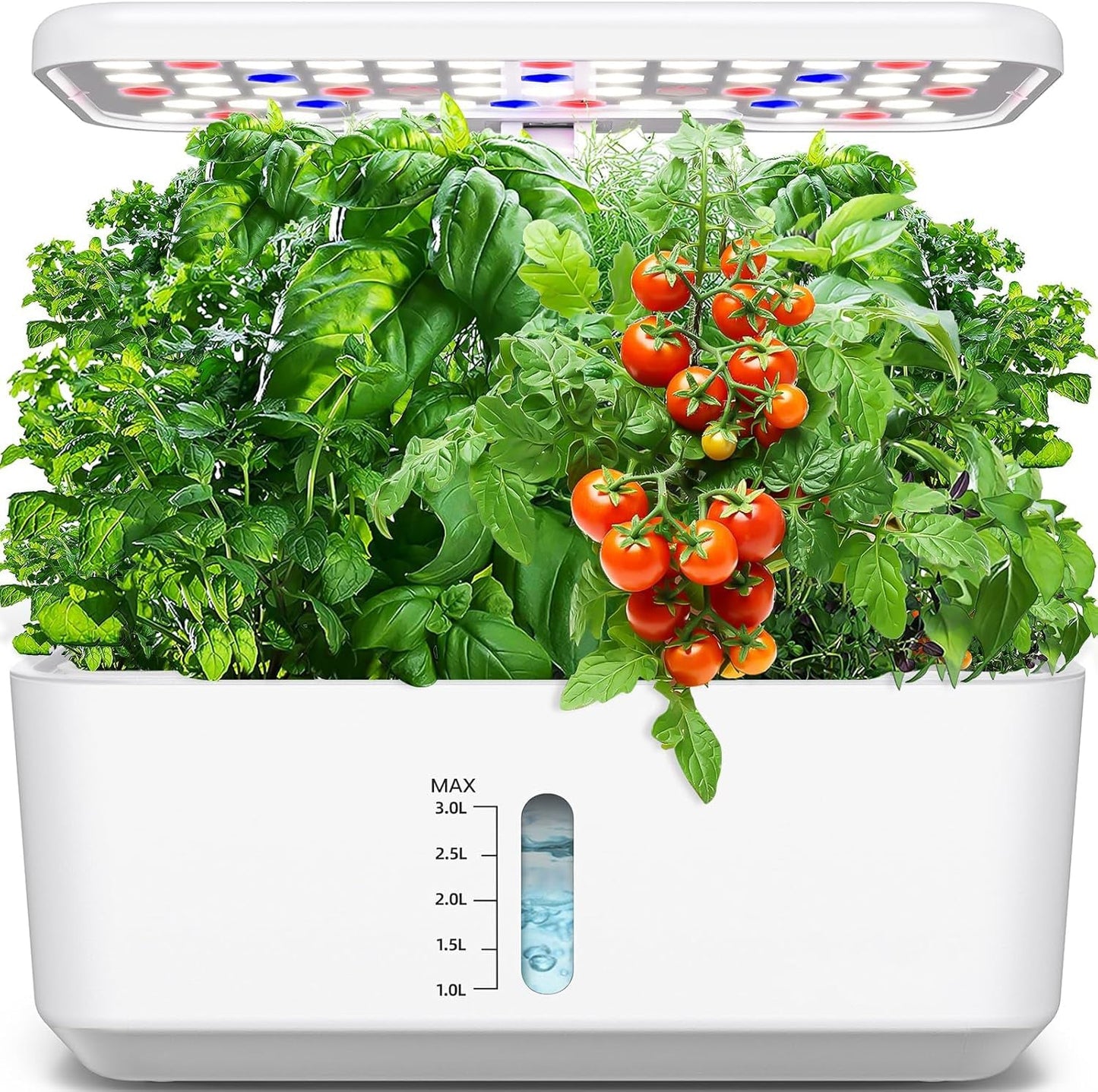 Indoor hydroponics growing system, ideal for herbs, vegetables, and lettuce